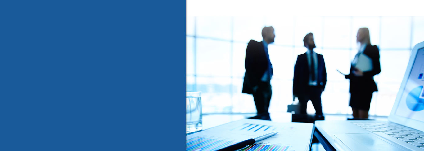 gestion de proyectos